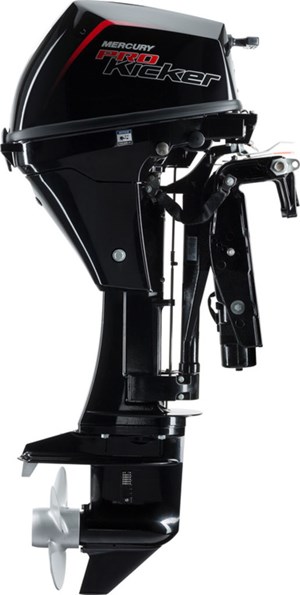 2020 Mercury 9.9ELHPT PRO KICKER