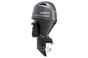 2020 Yamaha F115 - F115XB