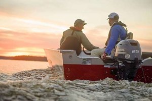 2020 YAMAHA F25LWTC