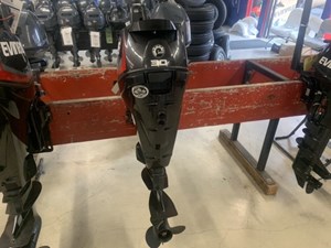 2019 Evinrude E30DPGL