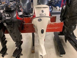 2020 Evinrude E50DSL