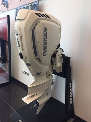 2020 Evinrude K150WXF