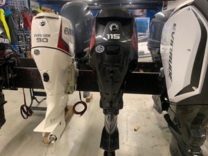 2019 Evinrude E115DGX