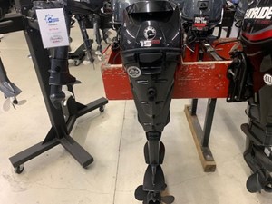 2019 Evinrude E15HPGX