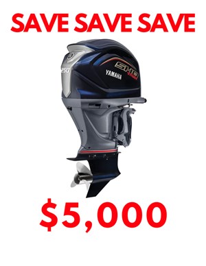 2023 YAMAHA Vmax Sho VF250XB