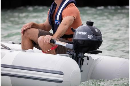 2019 Yamaha F2.5SMHB Photo 5 of 5
