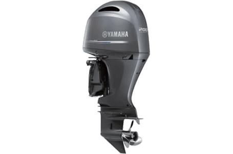 2019 Yamaha F200 - F200LB Photo 3 sur 6