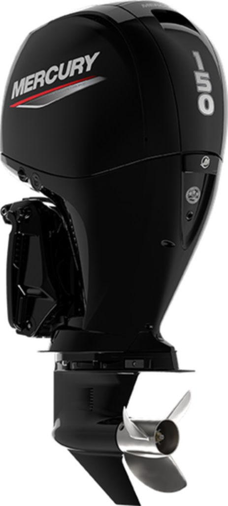 2020 Mercury 150XL EFI 4s Photo 1 of 1