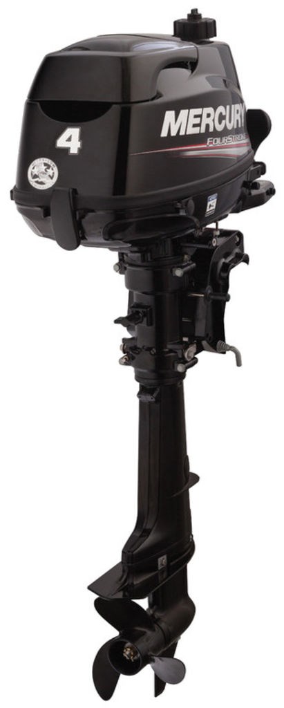 2020 Mercury 4MH Photo 4 sur 4