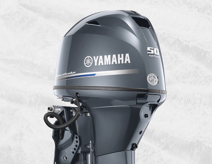 2020 YAMAHA T50LB Photo 1 of 1