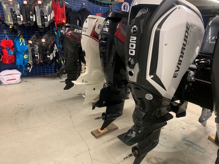 2020 Evinrude Twin 200 iDock Package Photo 4 of 5