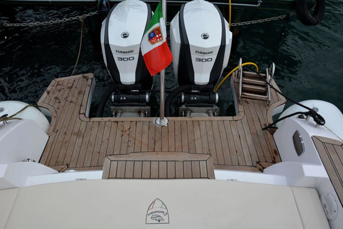 2020 Evinrude Twin 300 iDock Package Photo 2 of 3