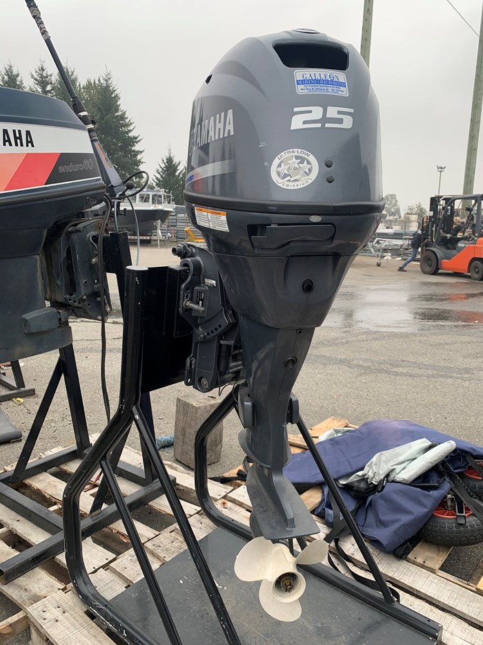 2017 Yamaha F25LA Photo 1 of 3