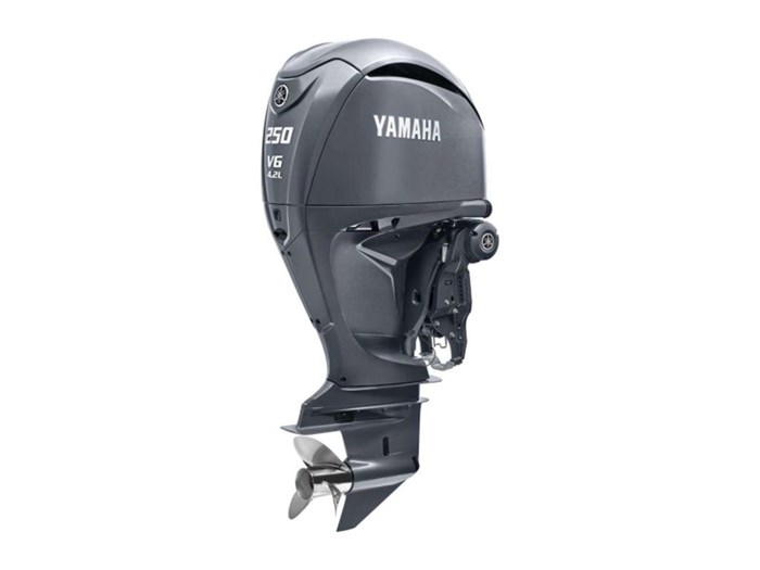 2022 Yamaha F250 Photo 1 of 1