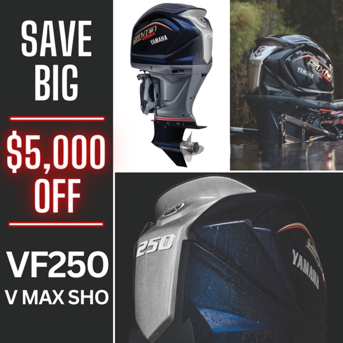 2023 YAMAHA Vmax Sho VF250XB Photo 3 of 3