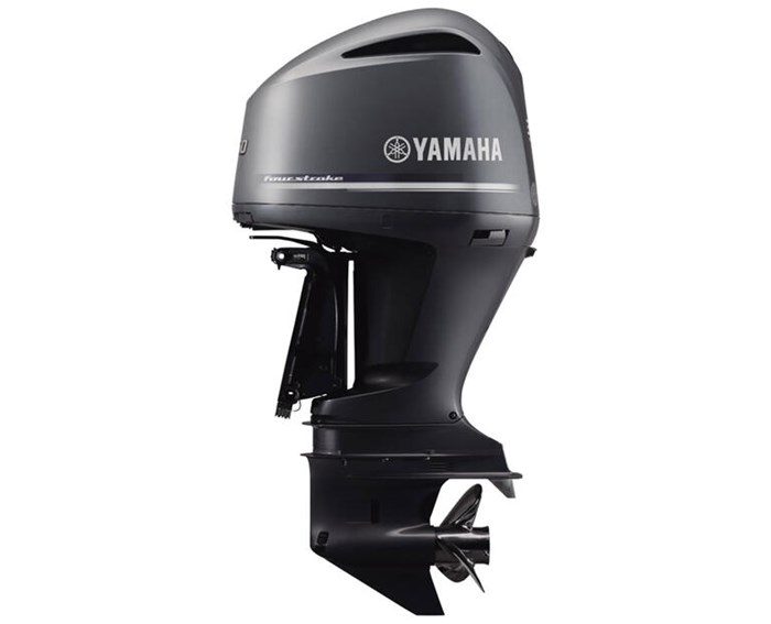 2023 YAMAHA F250 Photo 2 of 2