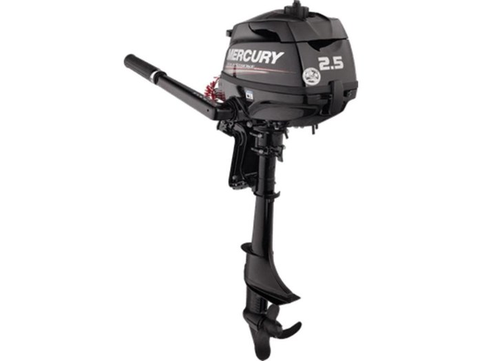 2023 Mercury FourStroke 2.5 hp Photo 1 of 1