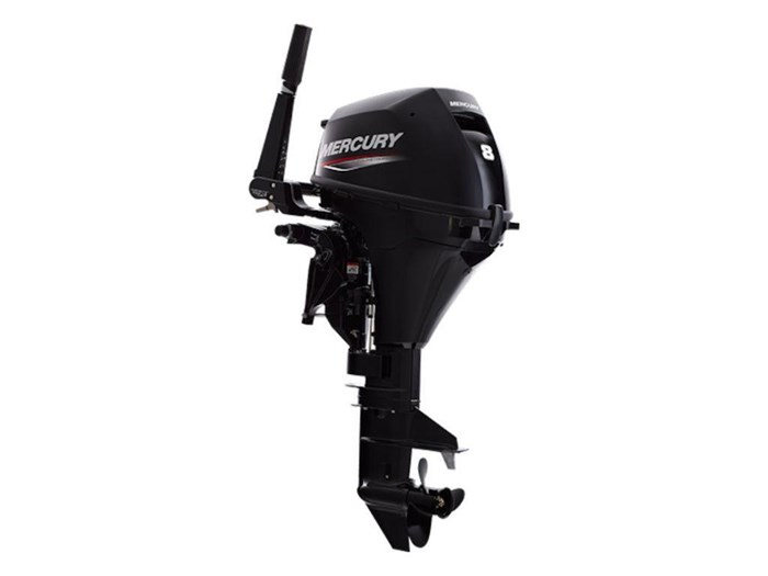 2024 Mercury FourStroke 8 hp Photo 1 of 1